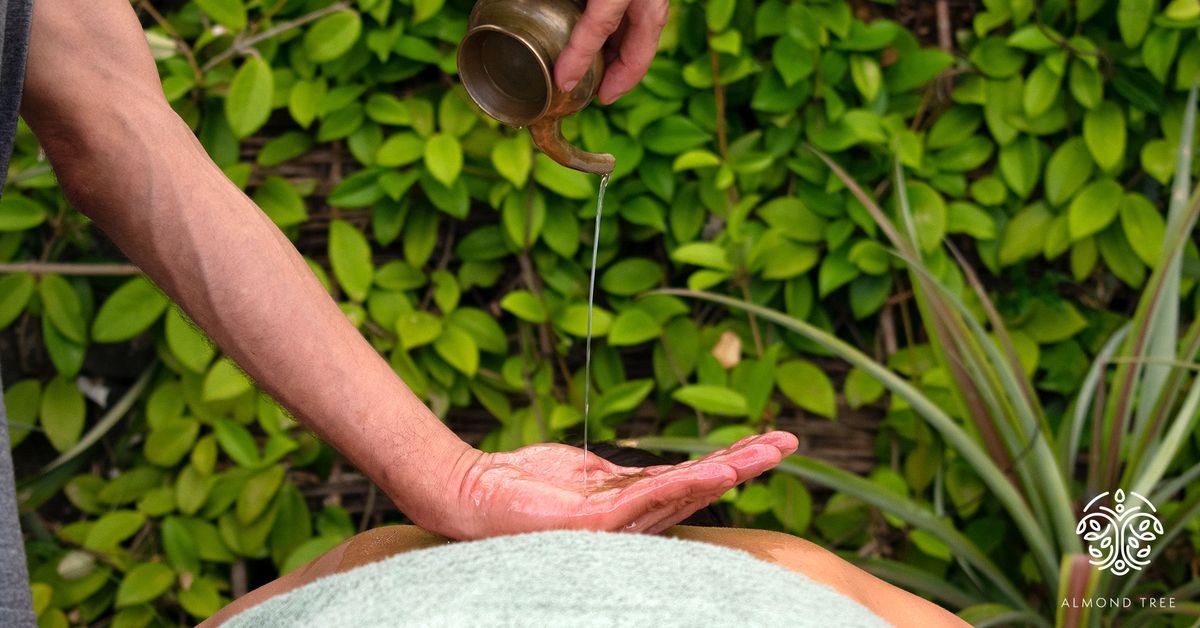 Capa para redes sociais Almond Tree Therapies, mãos a colher plantas, aplicação da identidade